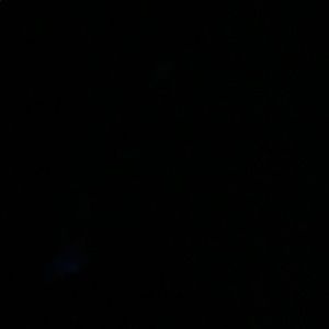 Meet your Posher, Urvashi